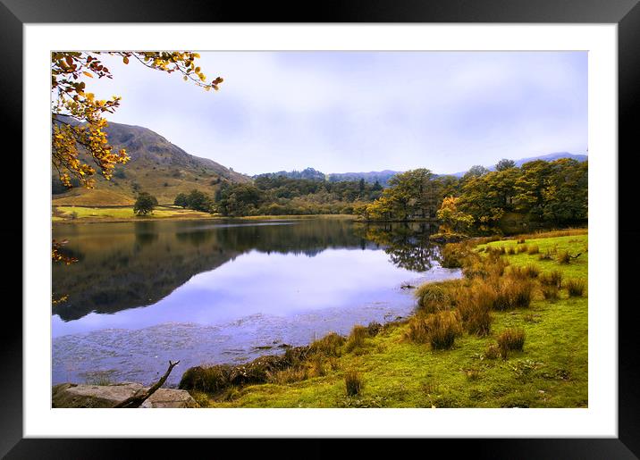 Grasmere Reflections Framed Mounted Print by Jacqi Elmslie