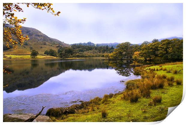 Grasmere Reflections Print by Jacqi Elmslie