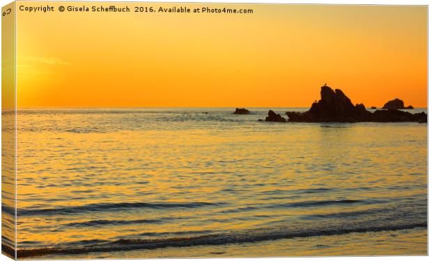 Sunset at Cobo Bay Canvas Print by Gisela Scheffbuch