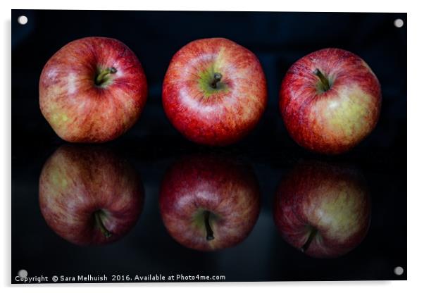 a trio of apples Acrylic by Sara Melhuish