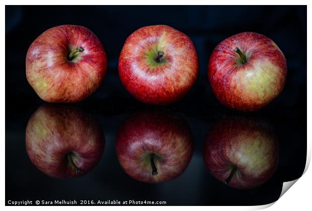 a trio of apples Print by Sara Melhuish