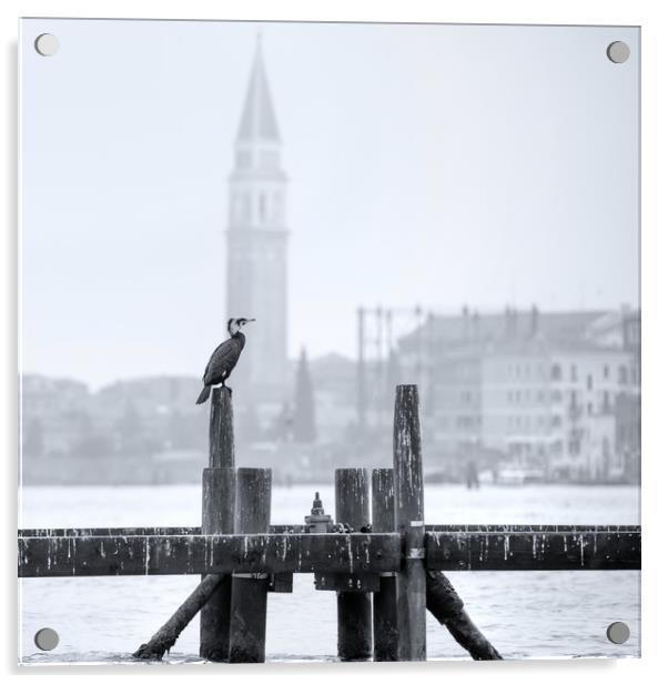 Cormorant A Venezia Acrylic by Andy Walker