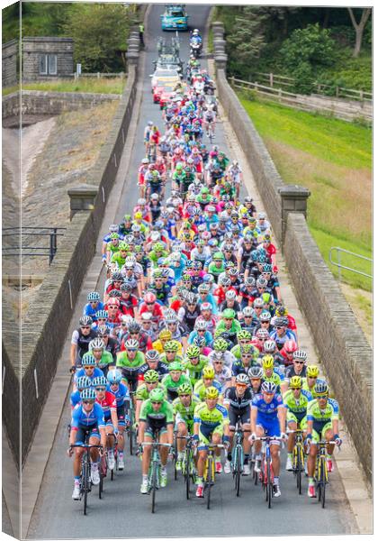 The Peloton Canvas Print by Andy Walker