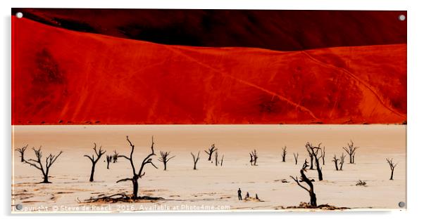Red Desert Acrylic by Steve de Roeck