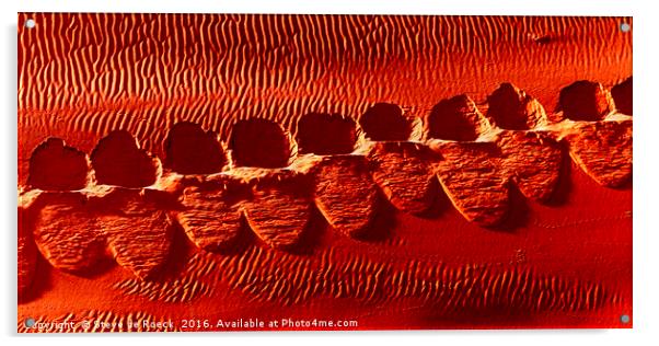 Tracks In The Sand Acrylic by Steve de Roeck