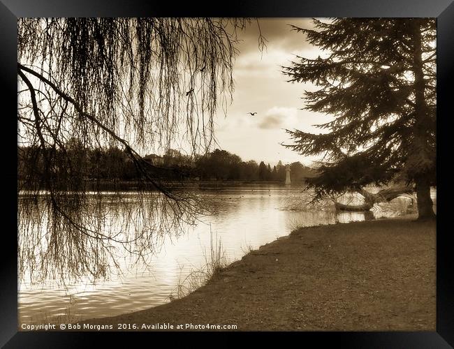 Roath Park Lake(Cardiff)                           Framed Print by Bob Morgans