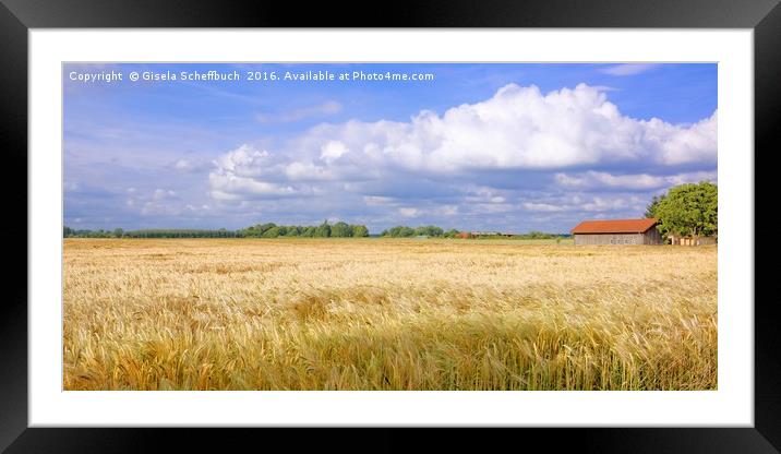 Summer Day Framed Mounted Print by Gisela Scheffbuch