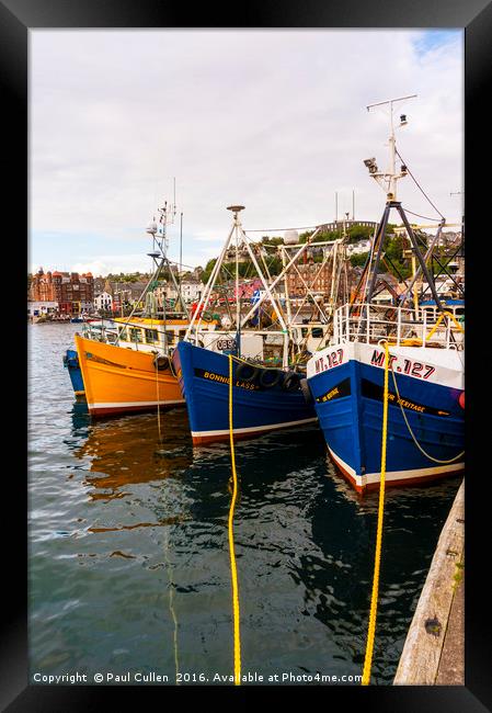 Oban Harbour, Oban, Argyle, Scotland. 28th August  Framed Print by Paul Cullen