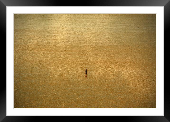 Alone On The Sands Framed Mounted Print by graham young