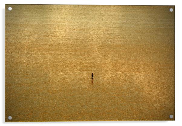 Alone On The Sands Acrylic by graham young