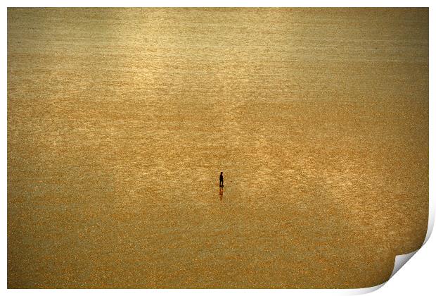 Alone On The Sands Print by graham young