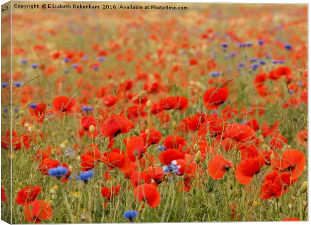 Poppies and grasses Canvas Print by Elizabeth Debenham