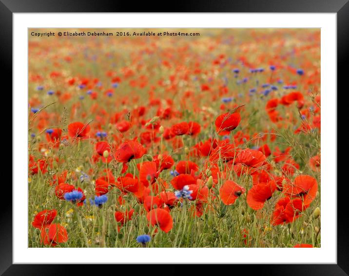 Poppies and grasses Framed Mounted Print by Elizabeth Debenham