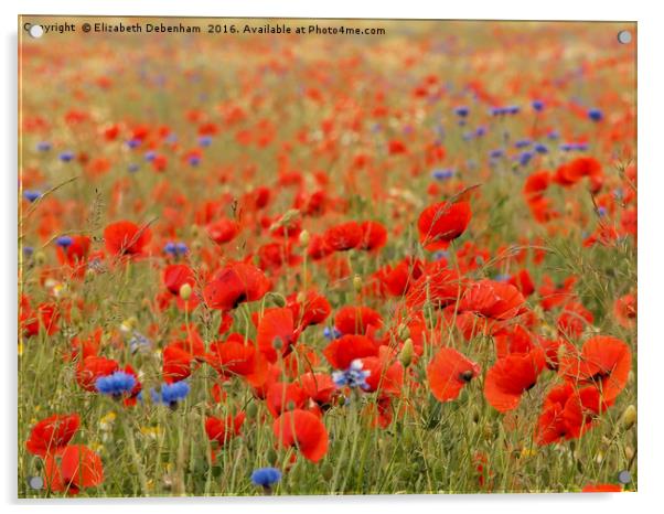 Poppies and grasses Acrylic by Elizabeth Debenham