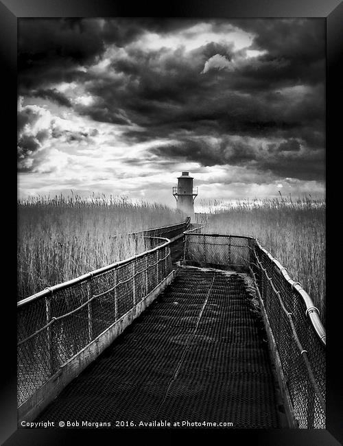 Newport Lighthouse                                 Framed Print by Bob Morgans