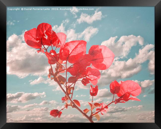 Flowers in the Sky Inspired Photo Collage Framed Print by Daniel Ferreira-Leite