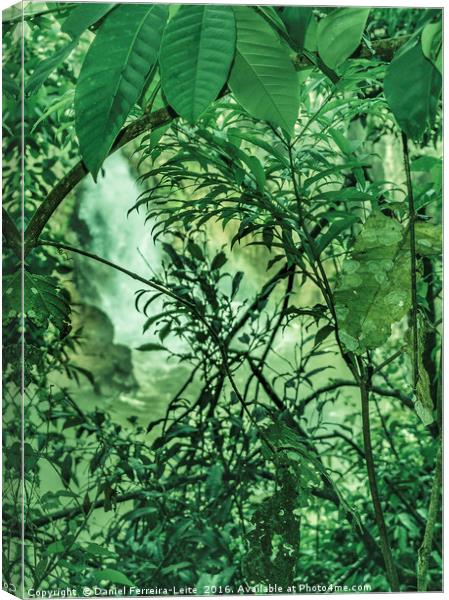 Jungle Background Detail Canvas Print by Daniel Ferreira-Leite