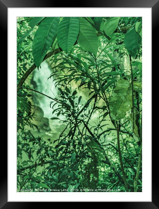 Jungle Background Detail Framed Mounted Print by Daniel Ferreira-Leite