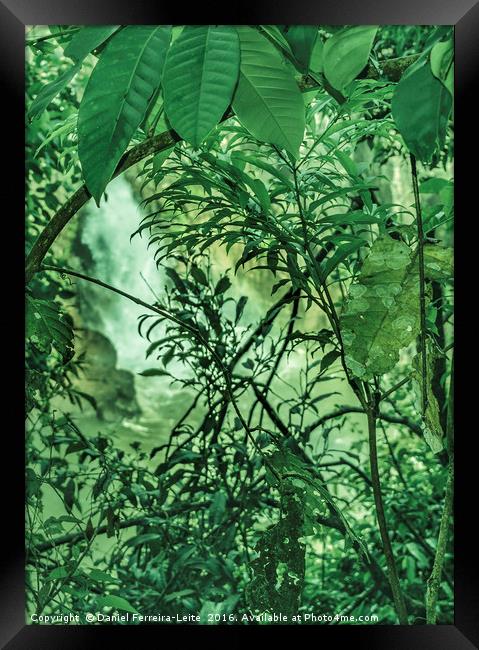 Jungle Background Detail Framed Print by Daniel Ferreira-Leite