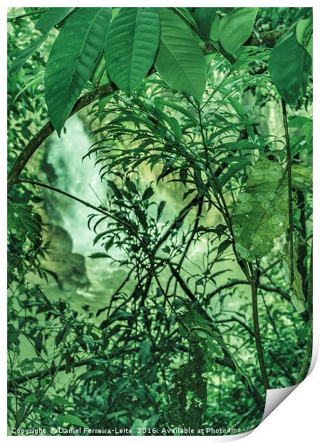 Jungle Background Detail Print by Daniel Ferreira-Leite