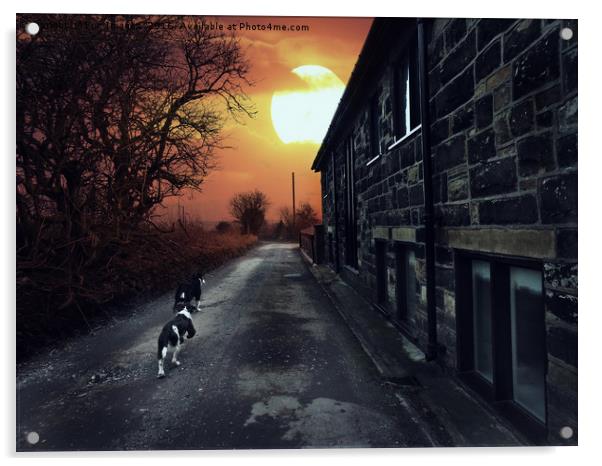 Dog walks Acrylic by Derrick Fox Lomax
