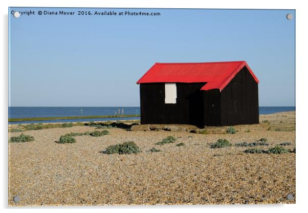 Red Roofed Hut, Rye Harbour Acrylic by Diana Mower