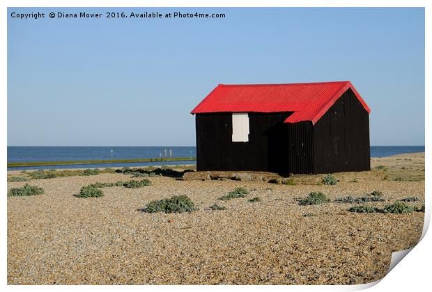 Red Roofed Hut, Rye Harbour Print by Diana Mower