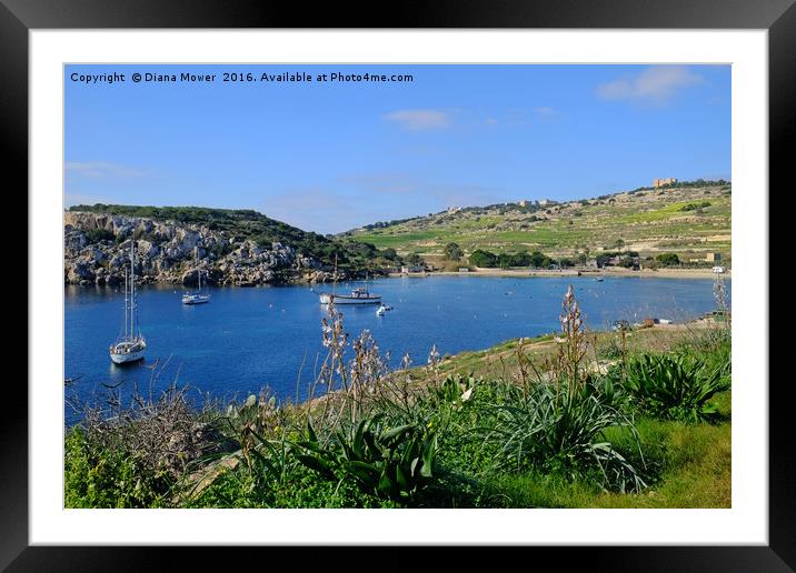 Mistra Bay Malta Framed Mounted Print by Diana Mower