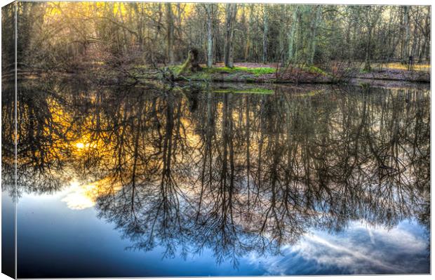 The Morning Pond Reflections Canvas Print by David Pyatt