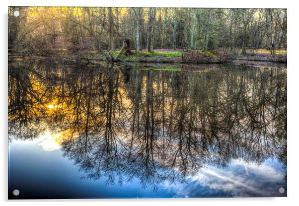The Morning Pond Reflections Acrylic by David Pyatt