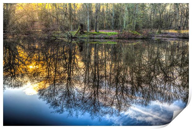The Morning Pond Reflections Print by David Pyatt