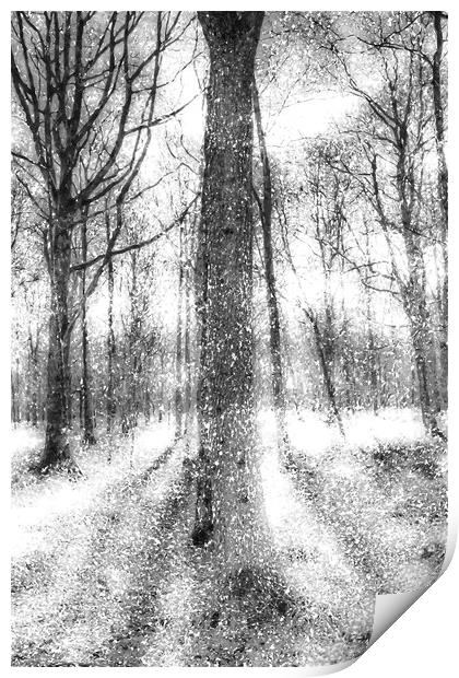 Forest Of Ghosts And Snow Print by David Pyatt