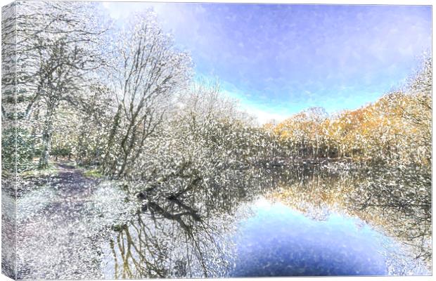 The Winters Day Pond Canvas Print by David Pyatt