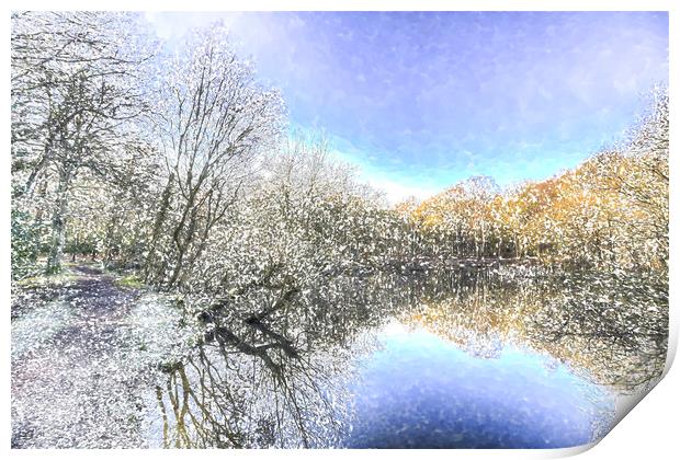 The Winters Day Pond Print by David Pyatt
