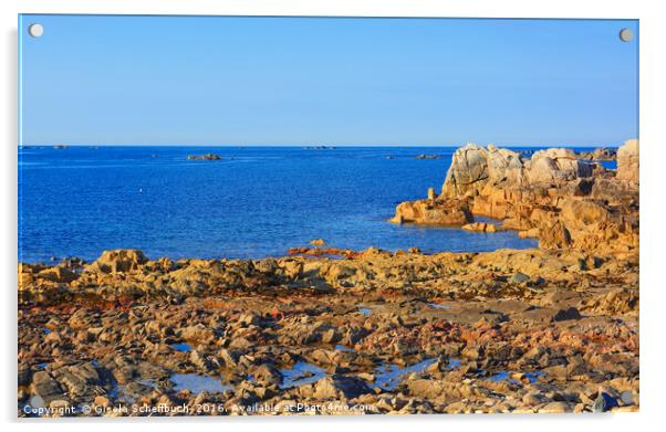 Evening Sun at Cobo Bay Acrylic by Gisela Scheffbuch