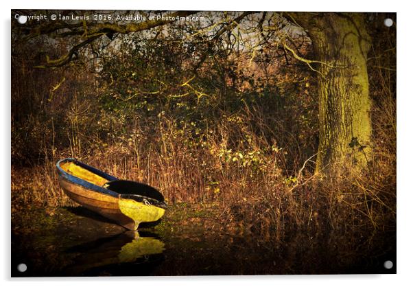 Yellow Rowing Boat Acrylic by Ian Lewis