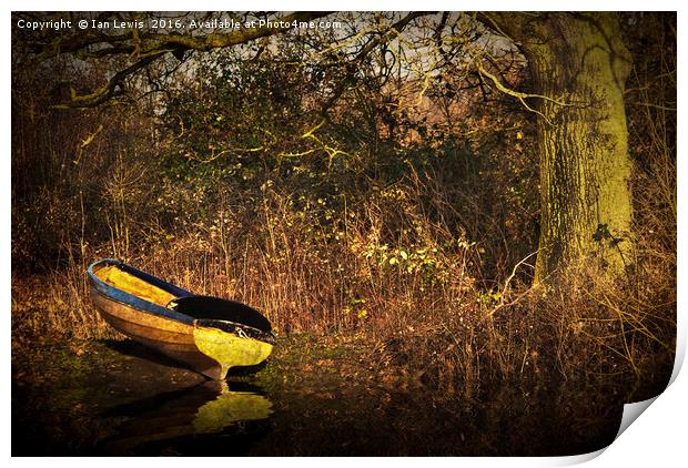 Yellow Rowing Boat Print by Ian Lewis