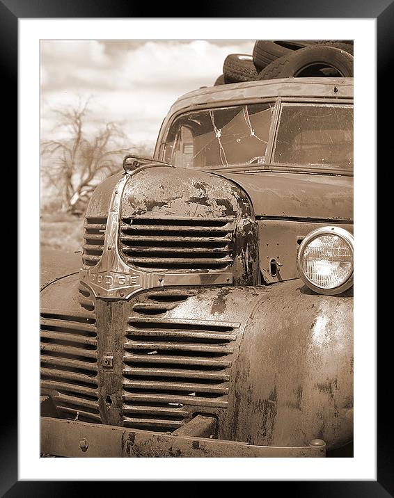 Dodge Truck from times past... Framed Mounted Print by Patti Barrett