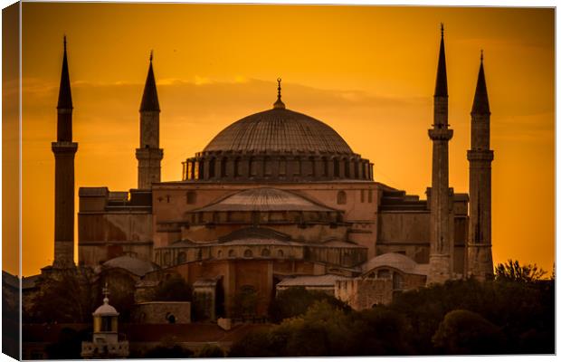 Istanbul blue mosque Canvas Print by Mick Sadler ARPS