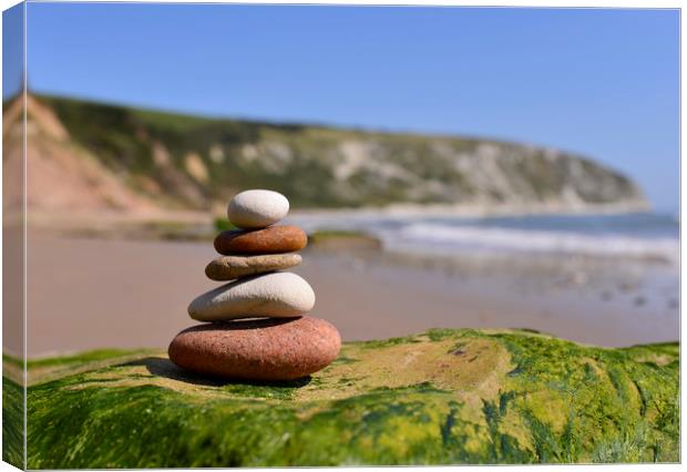 Pebbles Stacked on the beach in Swanage Dorset  Canvas Print by Shaun Jacobs