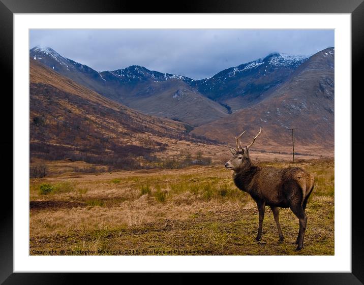 Scottish stag of Glen Etive Framed Mounted Print by Christopher Woloszyk