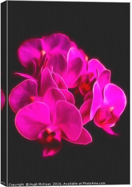 Photo Art, Plant, Orchid, Phalaenopsis, Pink Flowe Canvas Print by Hugh McKean