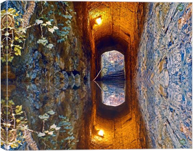 tunnel reflections Canvas Print by paul ratcliffe