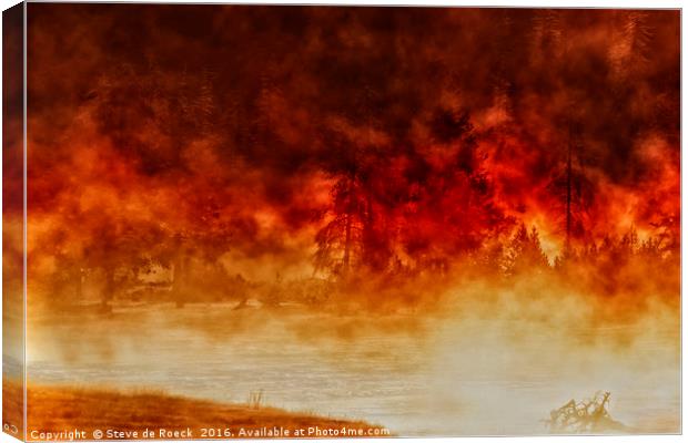 Fireburst Canvas Print by Steve de Roeck