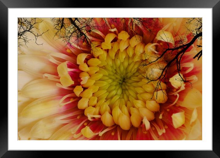 Beautiful sky Framed Mounted Print by JC studios LRPS ARPS