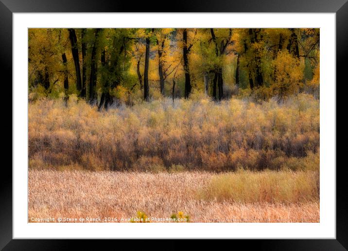Yellow Wood - Autumn Framed Mounted Print by Steve de Roeck