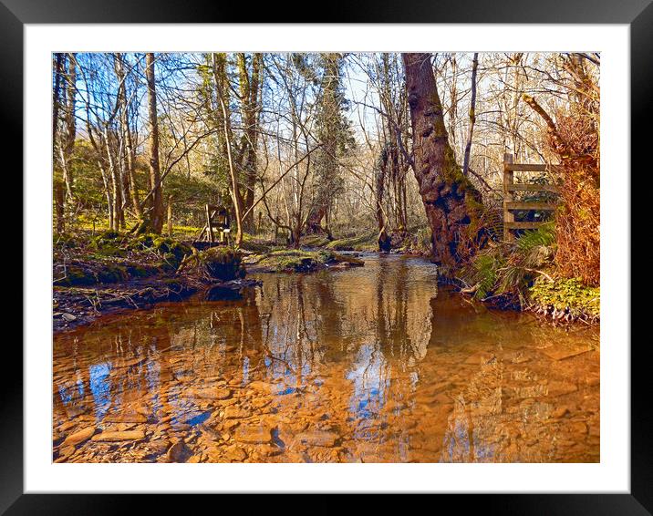 woodland stream Framed Mounted Print by paul ratcliffe