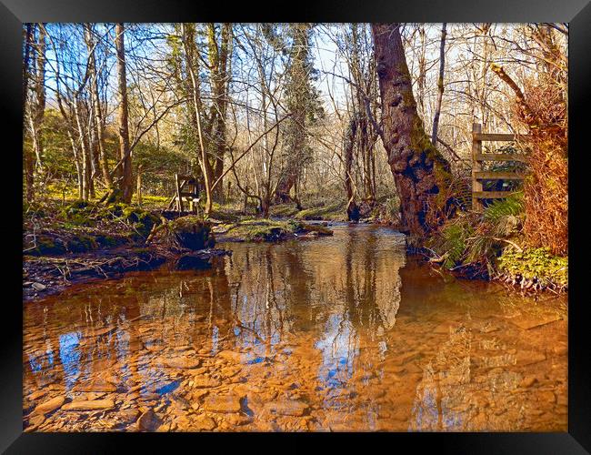 woodland stream Framed Print by paul ratcliffe