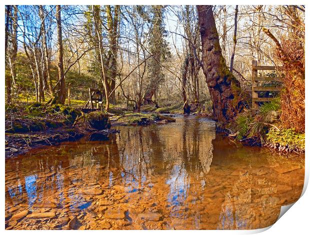 woodland stream Print by paul ratcliffe