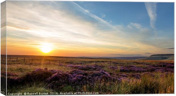 Beautiful heather Canvas Print by Russell Burton